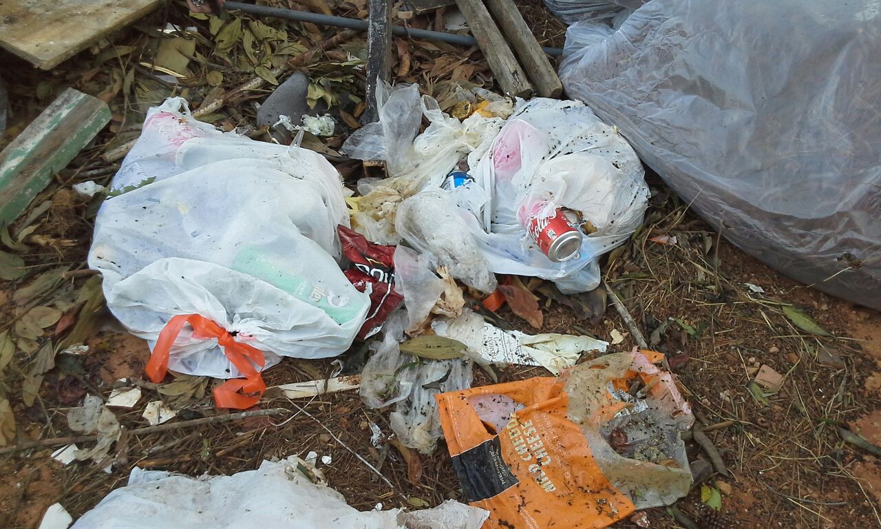 Basura01.jpg